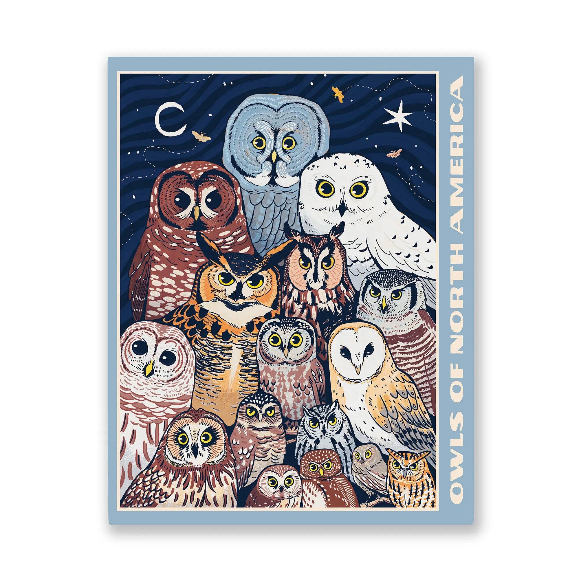 Owls of North America Puzzle on a white background at Addison West