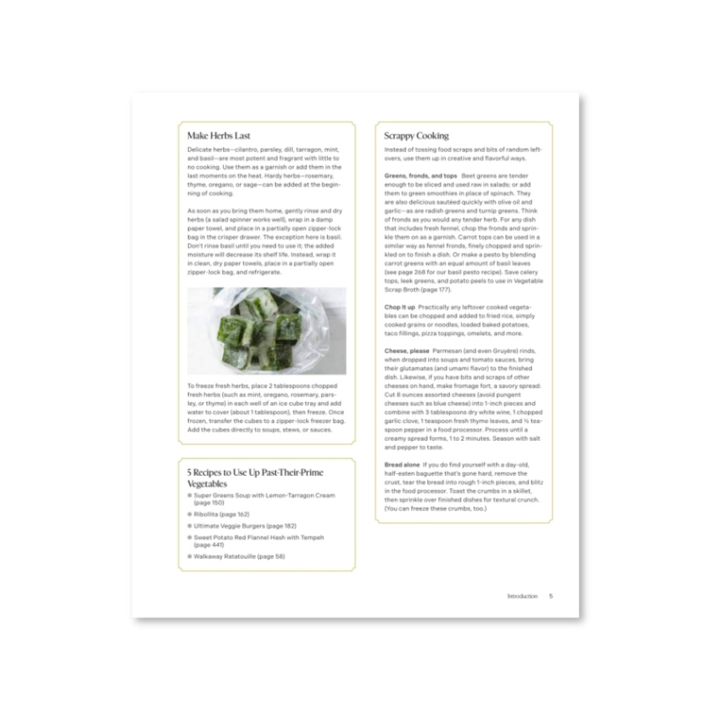 The New Vegetarian: 500+ Recipes for a Lifetime of Great Meals by America's Test Kitchen on a white background at Addison West