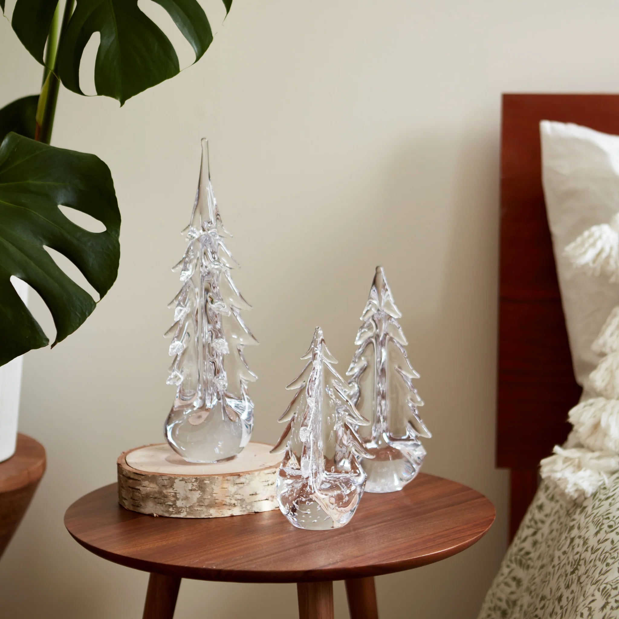 Five Sided Evergreen trees on a table at Addison West