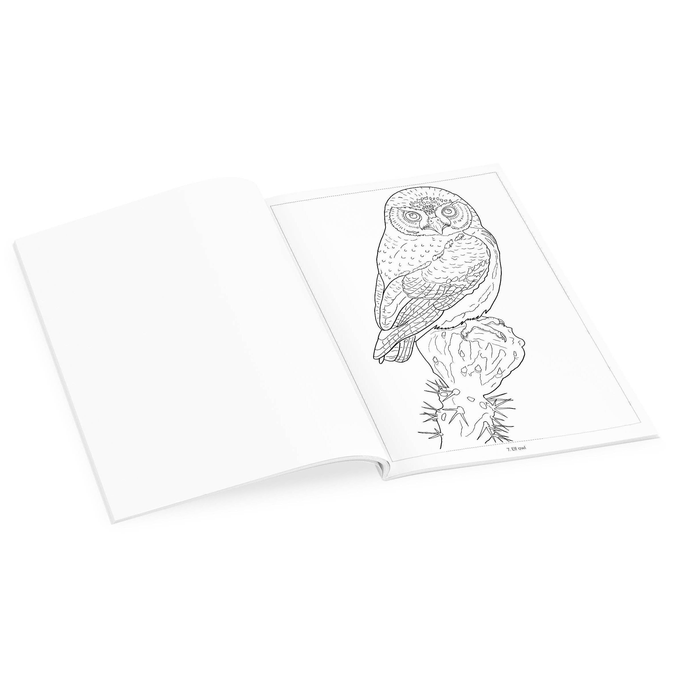 Owls Coloring Book on a white background at Addison West