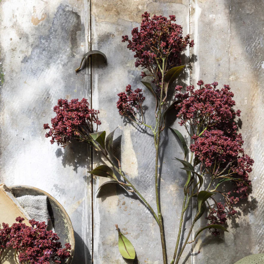 Abigail Ahern Faux Butterfly Bush in Rouge on a grey background at Addison West