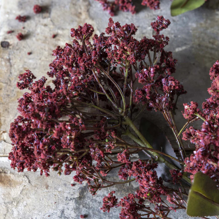Abigail Ahern Faux Butterfly Bush in Rouge on a grey background at Addison West