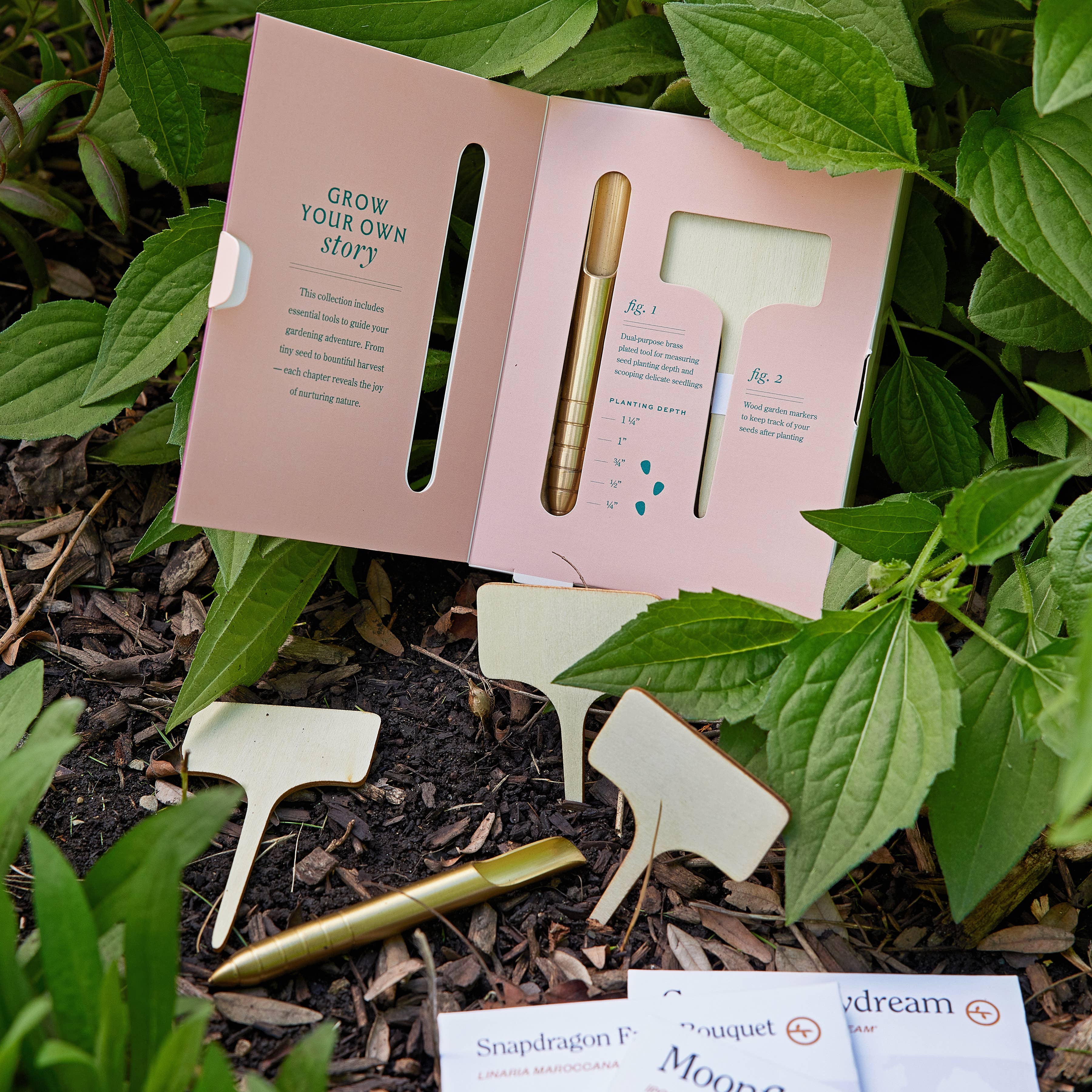 Heirloom Vegetables Seed Library in a garden at Addison West