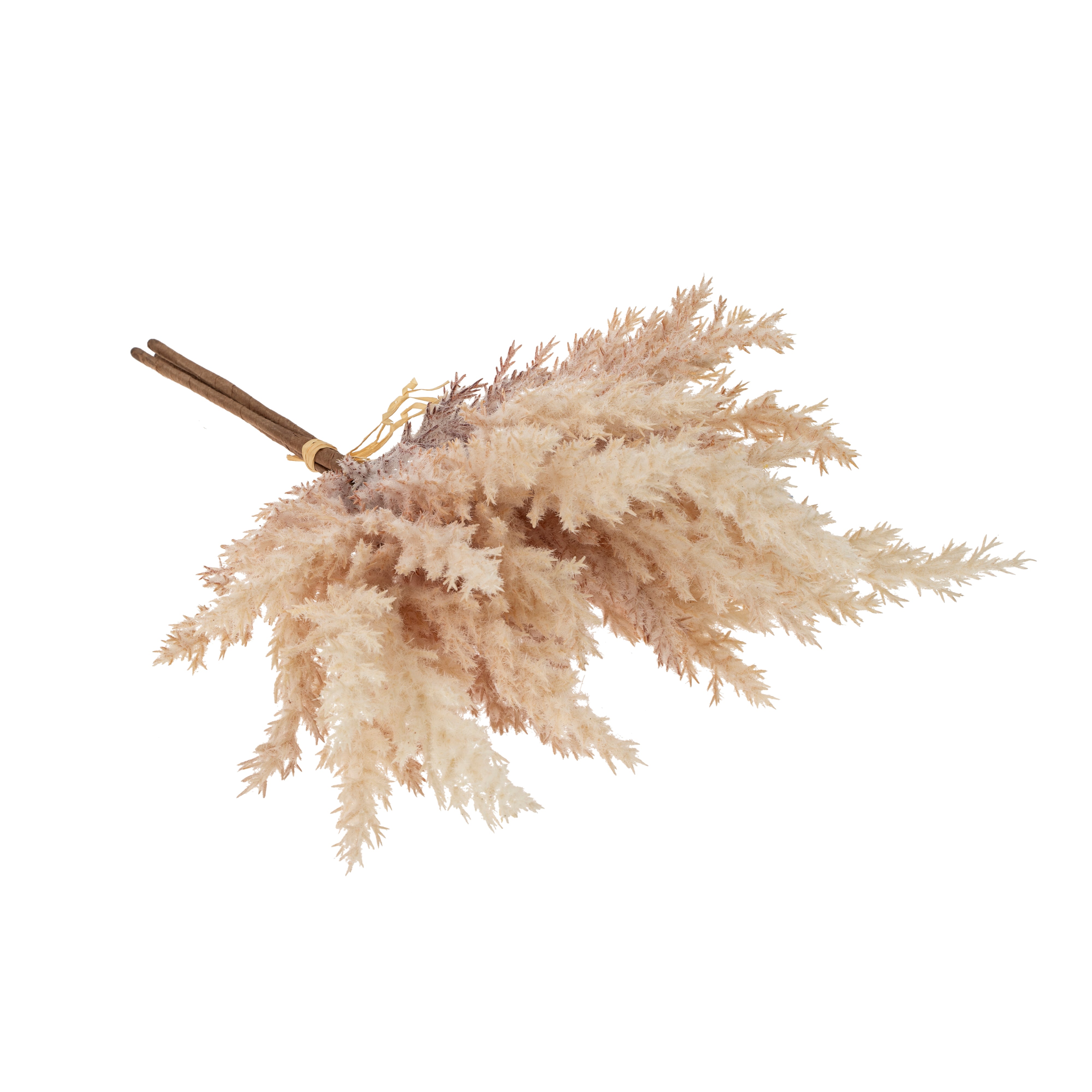 Decorative dried pampas grass with a wooden stick on a white background