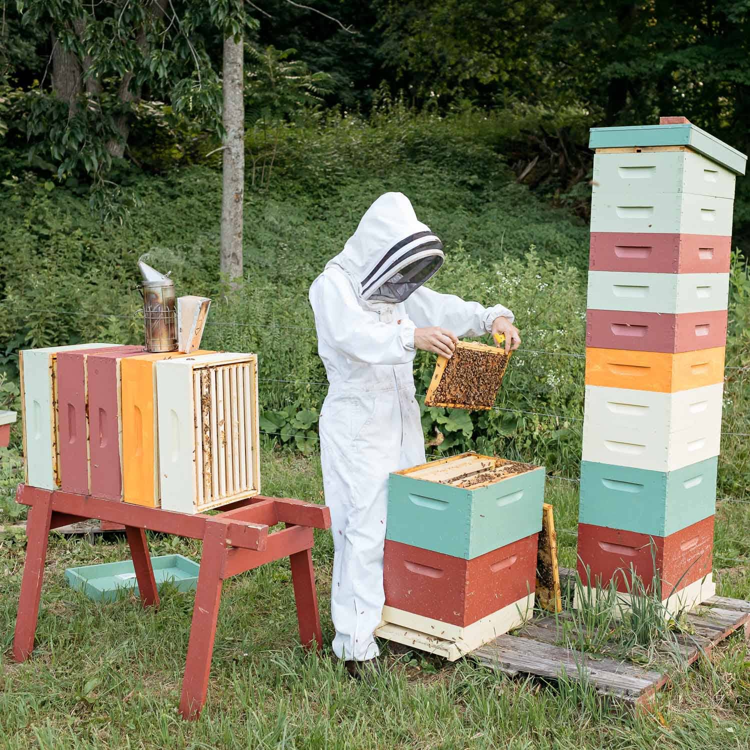 Beekeeper with bees
