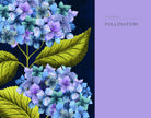 The Hidden History of Flowers - Addison West
