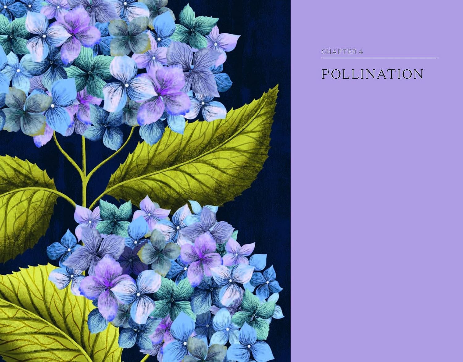 The Hidden History of Flowers - Addison West
