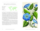 The Hidden History of Flowers - Addison West