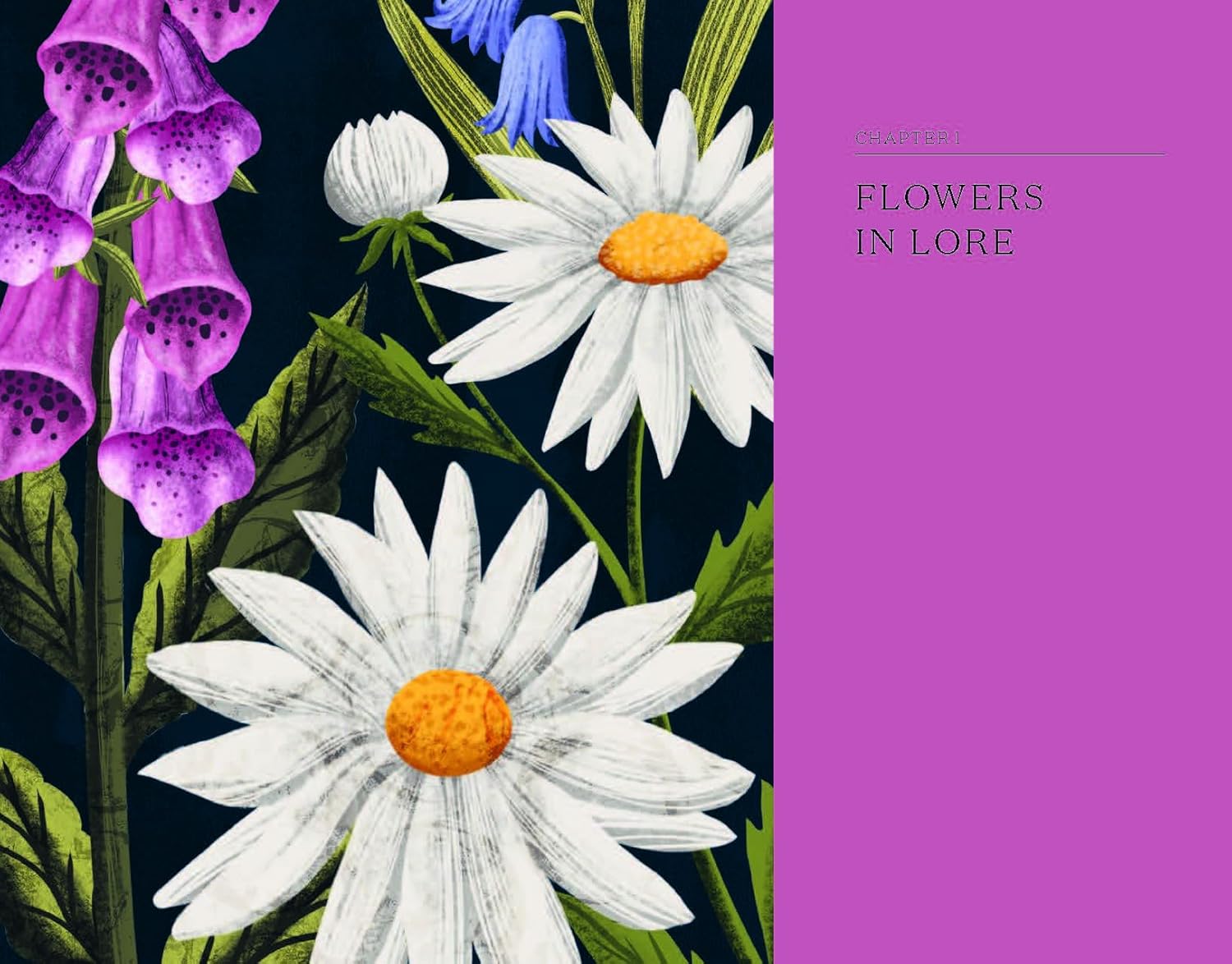 The Hidden History of Flowers - Addison West