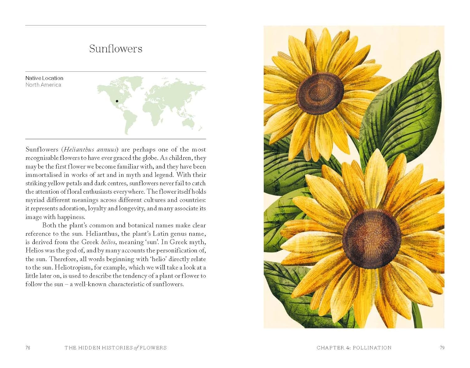 The Hidden History of Flowers - Addison West