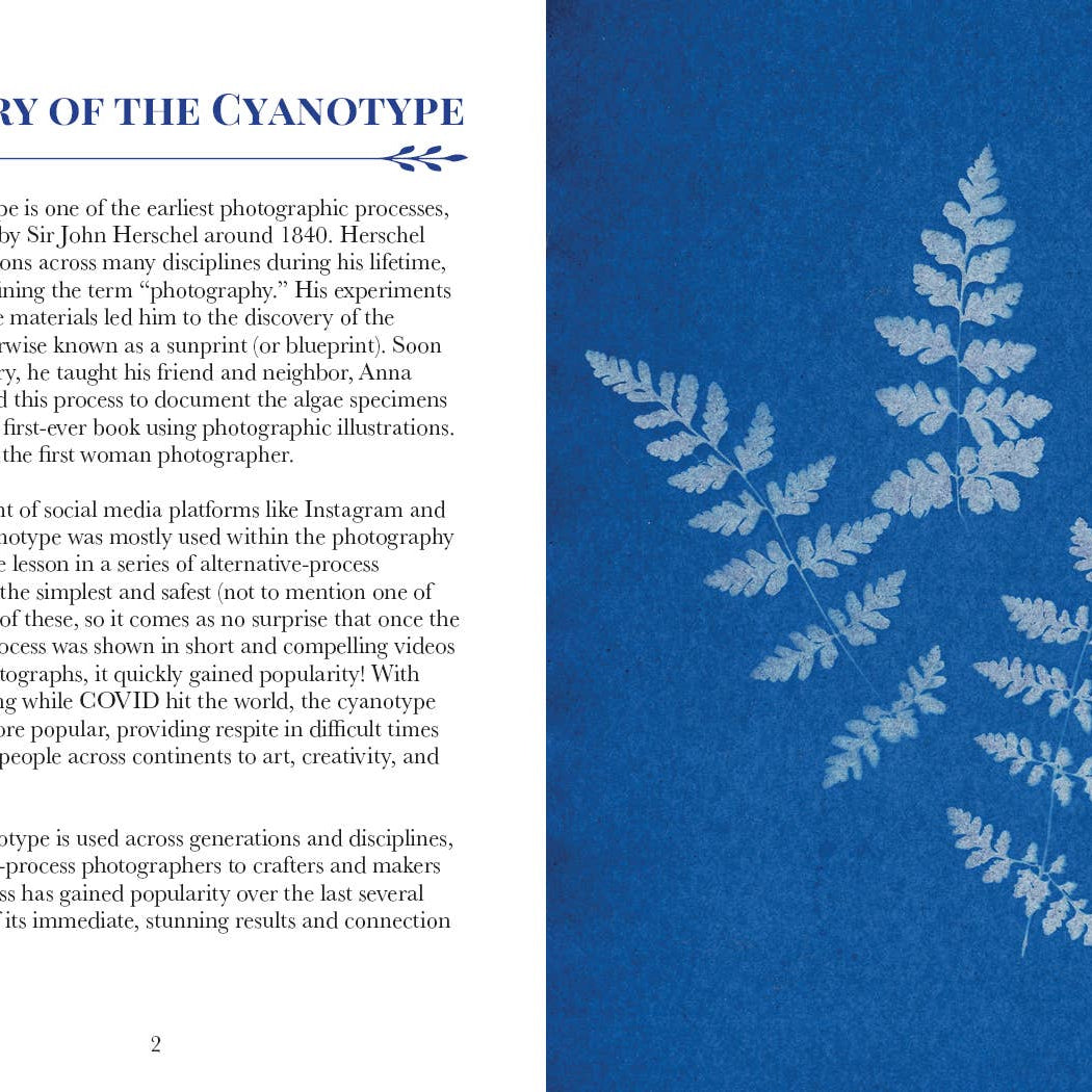 3-Color Botanical Cyanotype Kit pages at Addison West