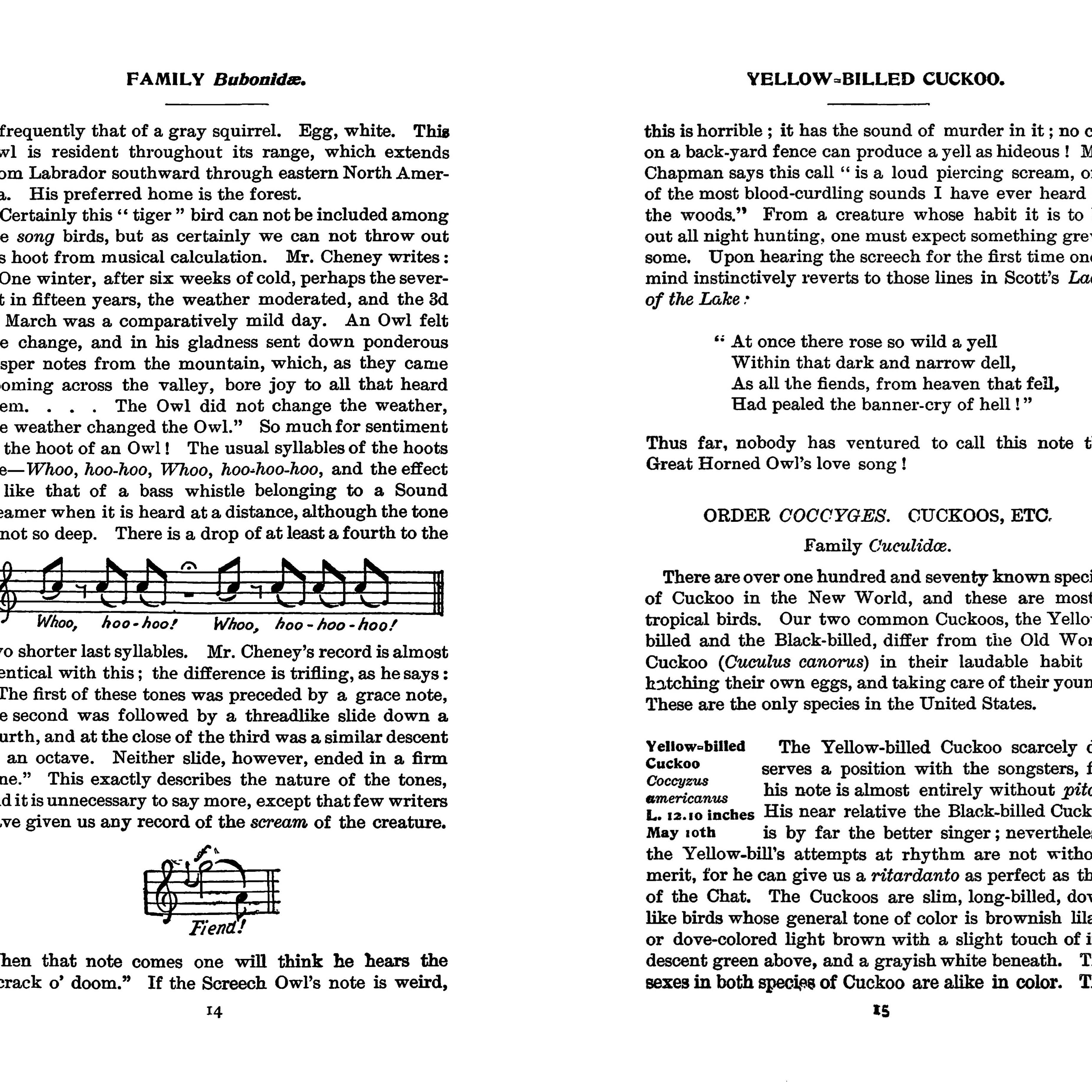 Field Book of Wild Birds and Their Music by F. Schuyler Mathews on a white background at Addison West