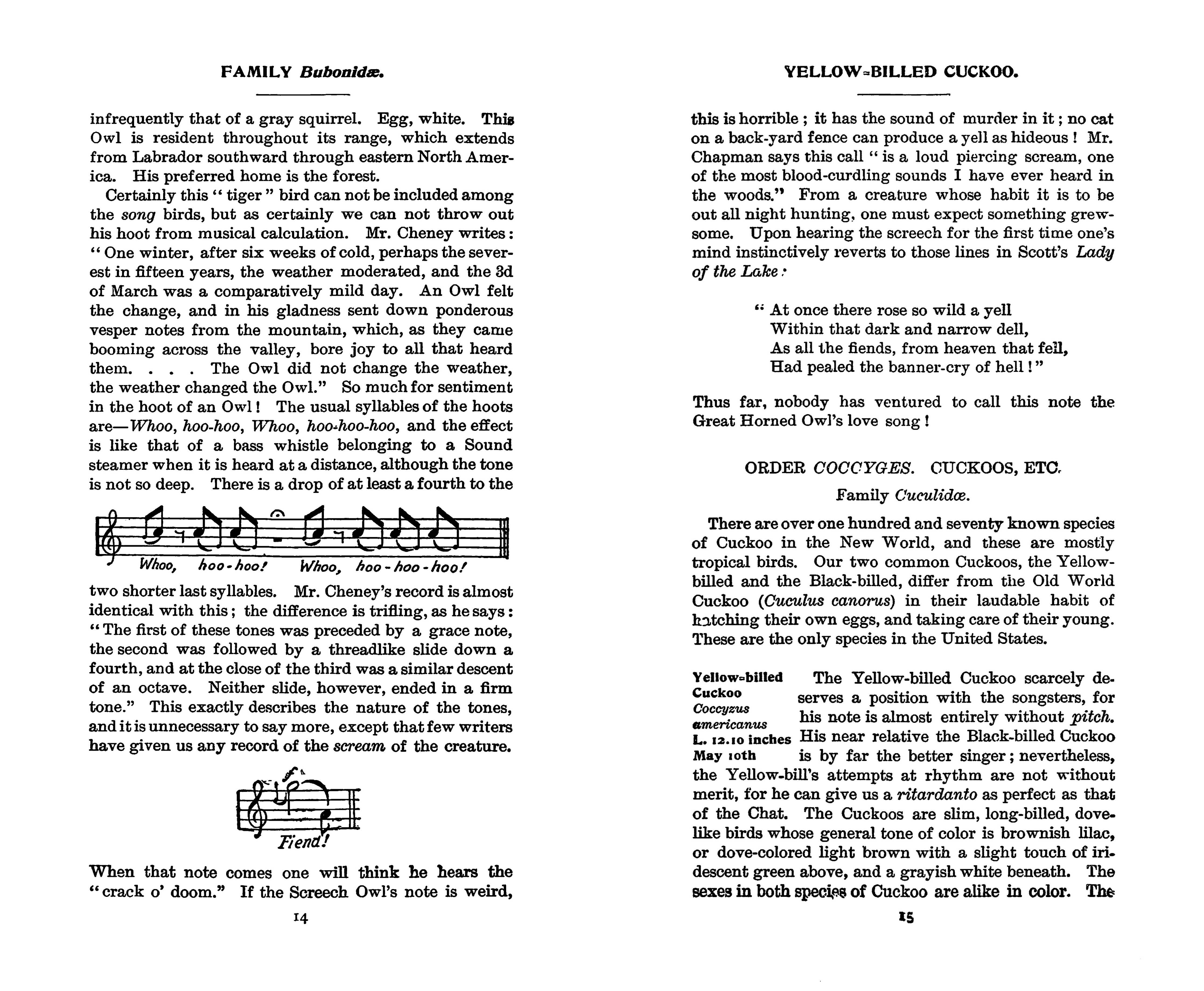 Field Book of Wild Birds and Their Music by F. Schuyler Mathews on a white background at Addison West