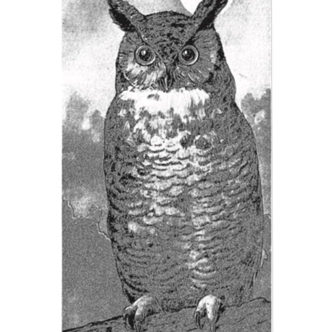 Field Book of Wild Birds and Their Music by F. Schuyler Mathews on a white background at Addison West