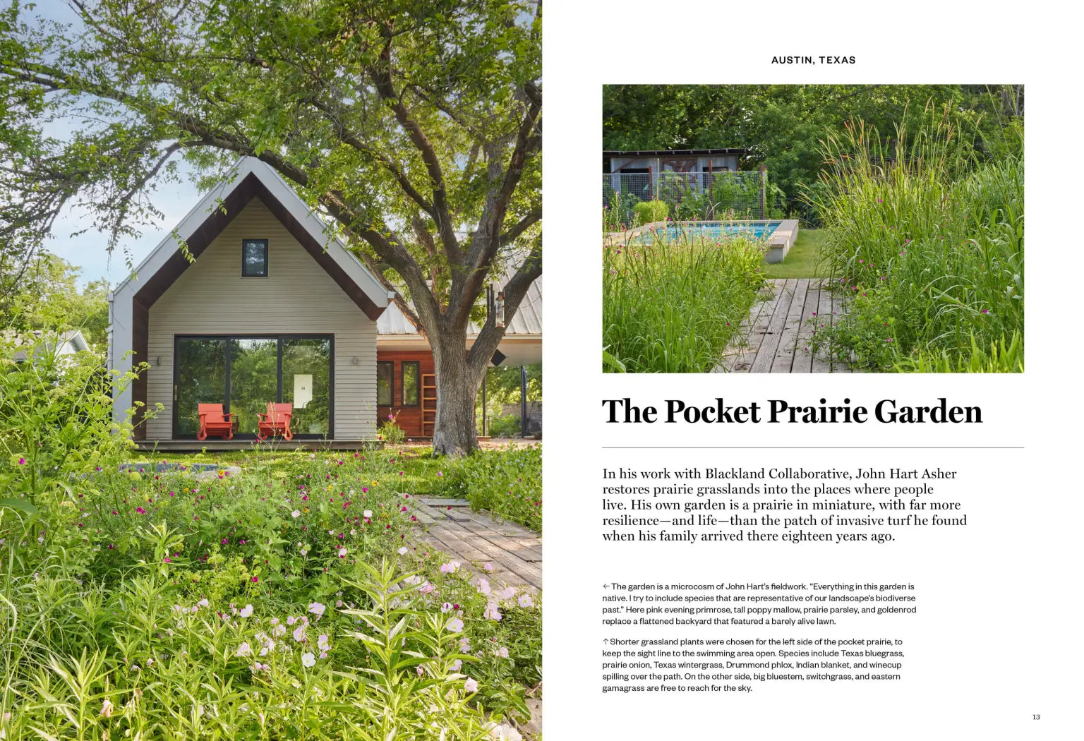 Gardenista: The Low-Impact Garden on a white background at Addison West