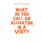 Dad Jokes - Addison West