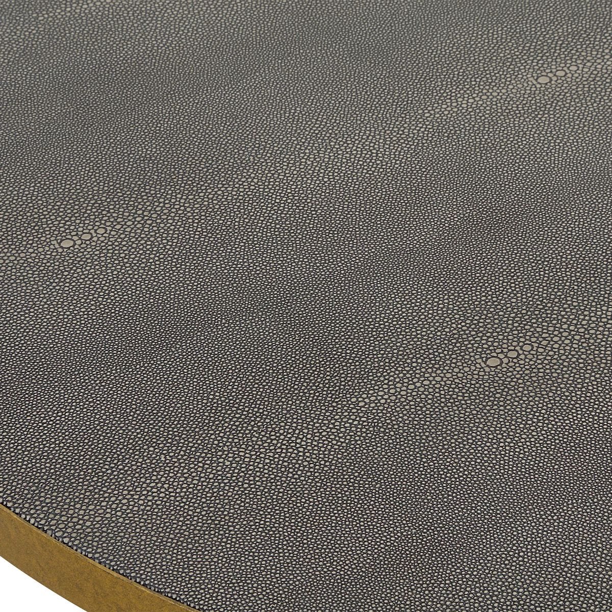 Close up of shagreen top of Alston Nesting Coffee Tables, Set of 2 on a white background at Addison West