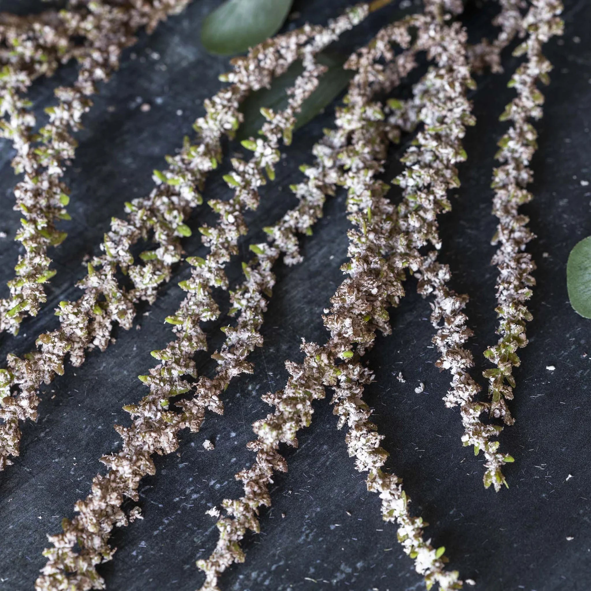 Abigail Ahern Faux Amaranthus in Blush on a wood table at Addison West