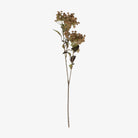 Abigail Ahern Faux Butterfly Bush in Natural on a white background at Addison West
