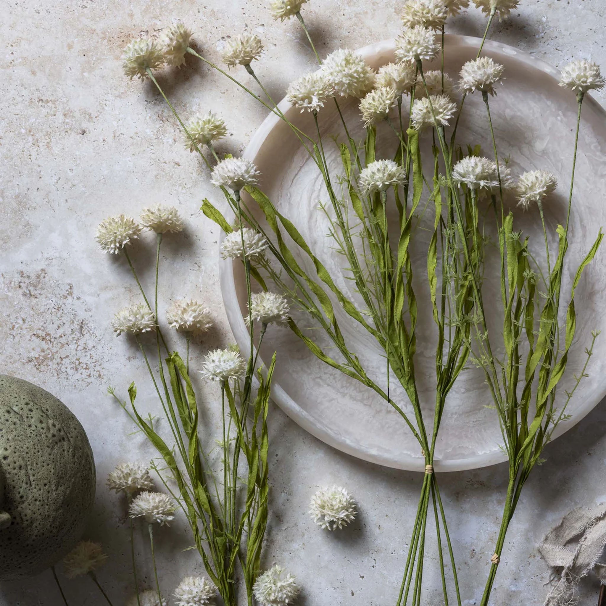 Abigail Ahern Faux Large Melaleuca in Cream on a beige background at Addison West