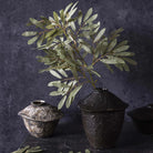 Abigail Ahern Faux Willow Stem in Soft Green on a grey background at Addison West