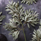 Abigail Ahern Faux Willow Stem in Soft Green on a grey background at Addison West
