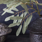 Abigail Ahern Faux Willow Stem in Soft Green on a grey background at Addison West