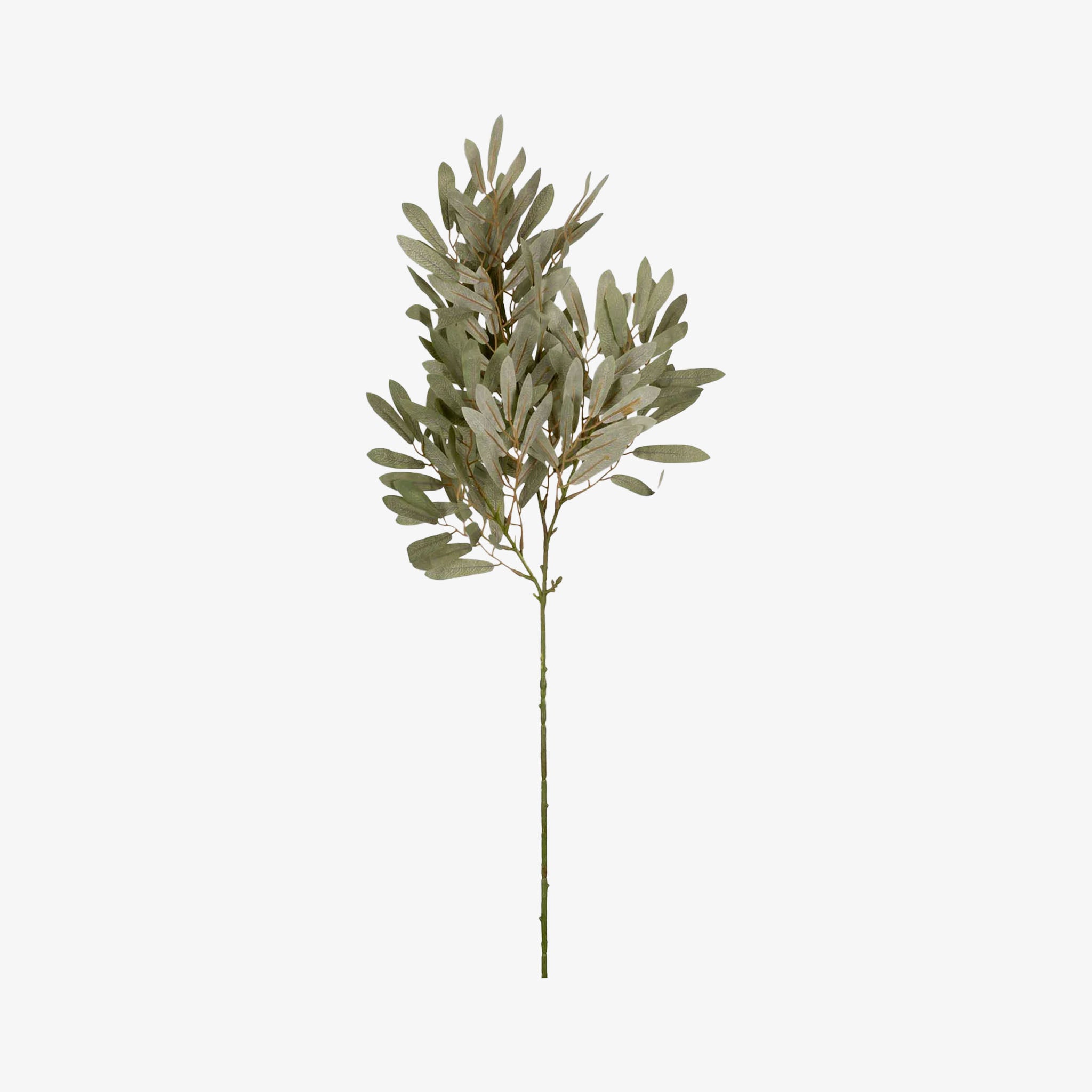 Abigail Ahern Faux Willow Stem in Soft Green on a white background at Addison West
