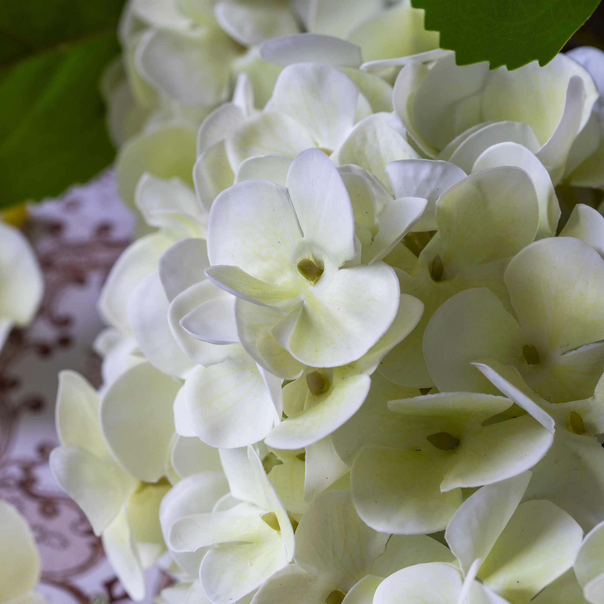 Abigail Ahern Real Touch Artificial Hydrangea in Zest closeup at Addison West