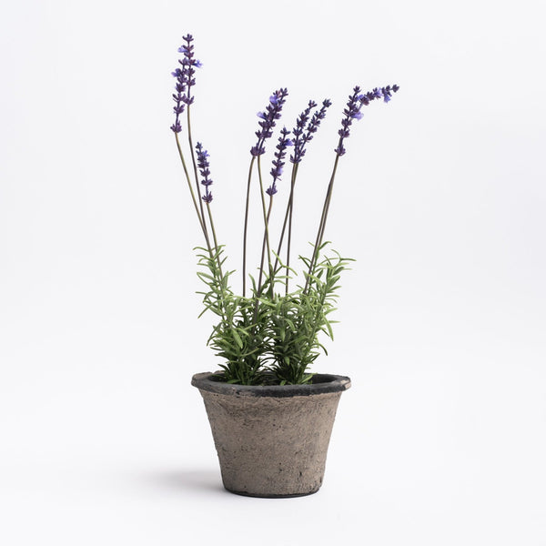 Realistic Faux lavender in a clay pot planter on a white background from Addison West home goods