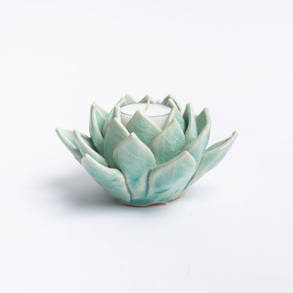 Pale green succulent tea light holders on a white background