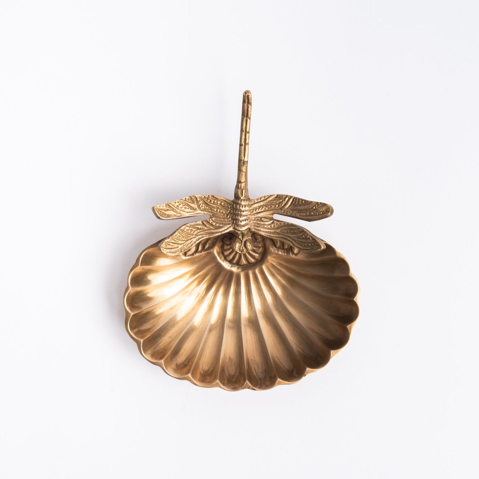 Brass dragonfly tray on a white background