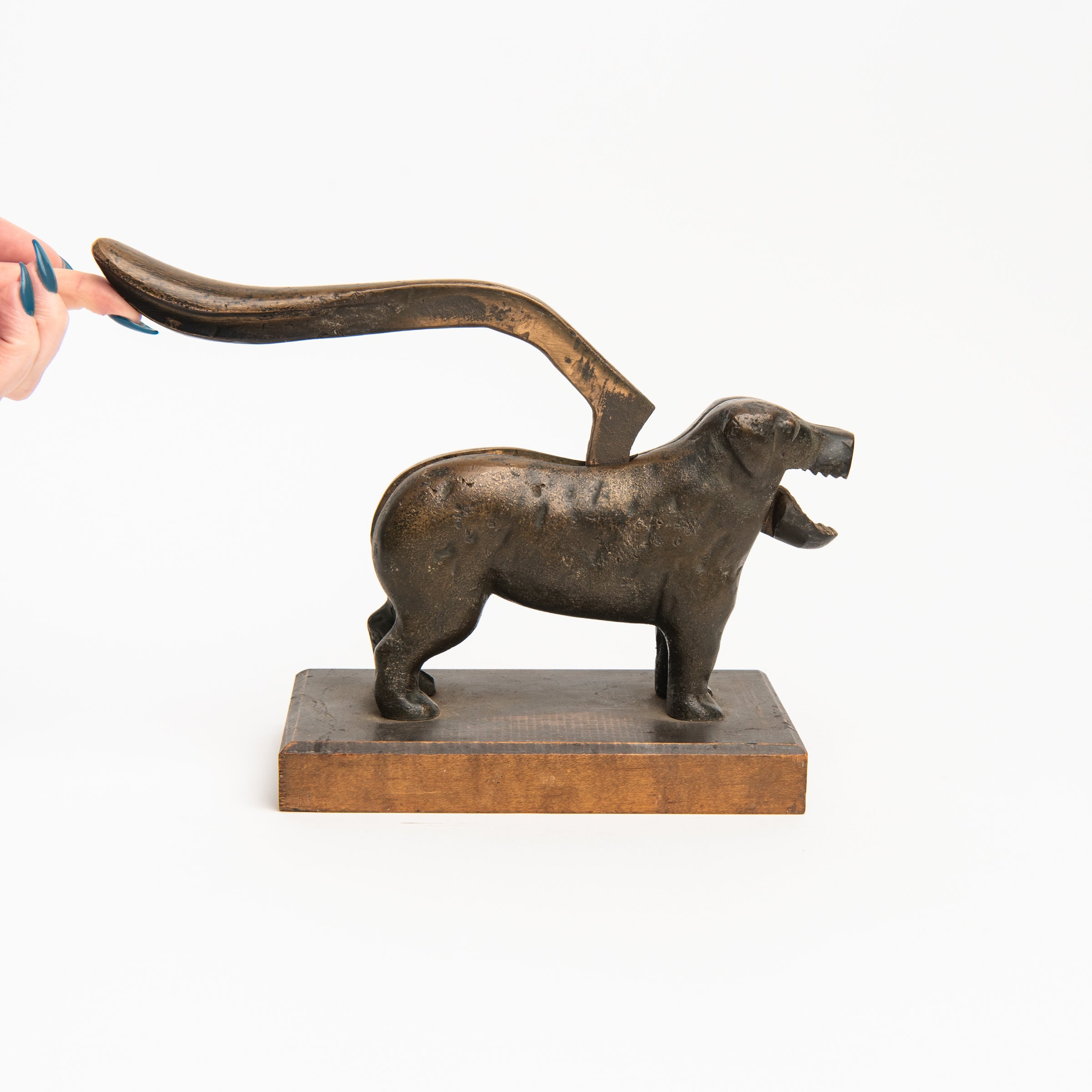 Vintage Bronze Dog Nutcracker on a white background at Addison West