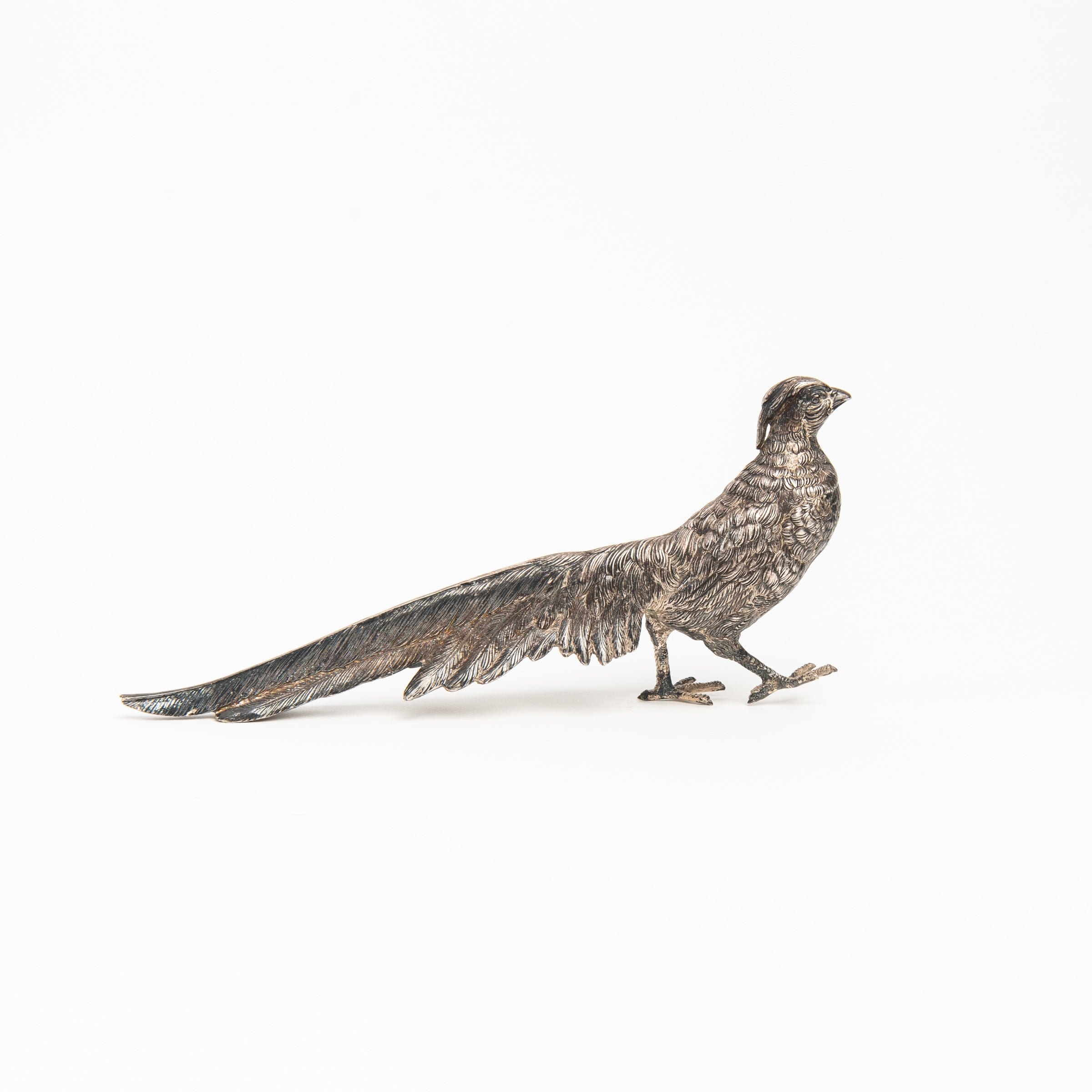 Vintage Silver Pheasant on a white background at Addison West