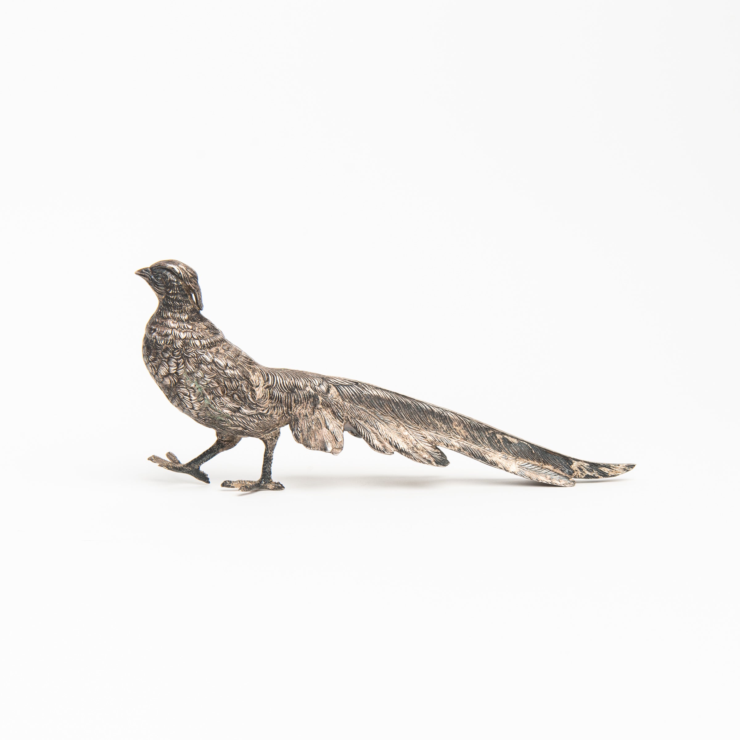 Vintage Silver Pheasant on a white background at Addison West