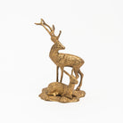Vintage Brass Buck and Doe on a white background at Addison West