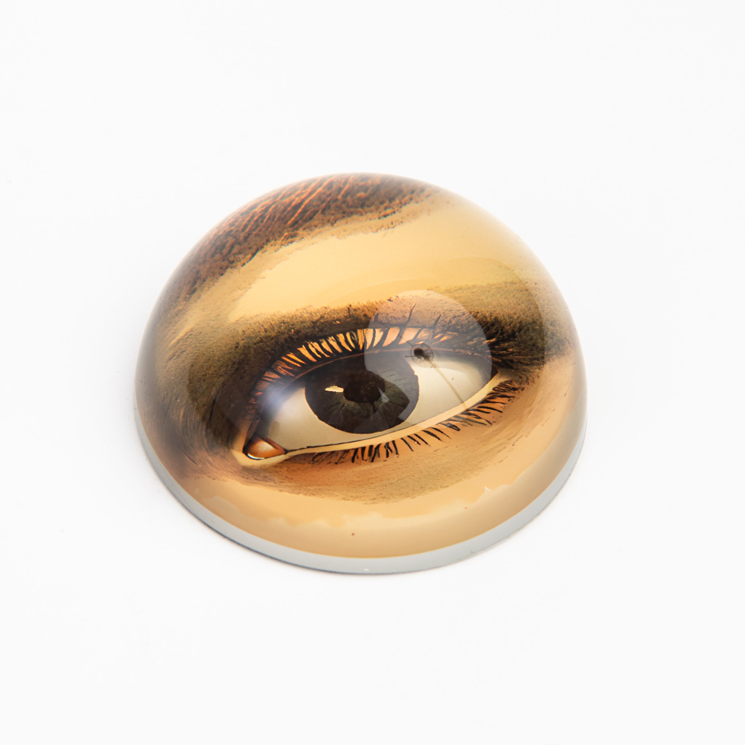 Eye Paperweight on a white background at Addison West