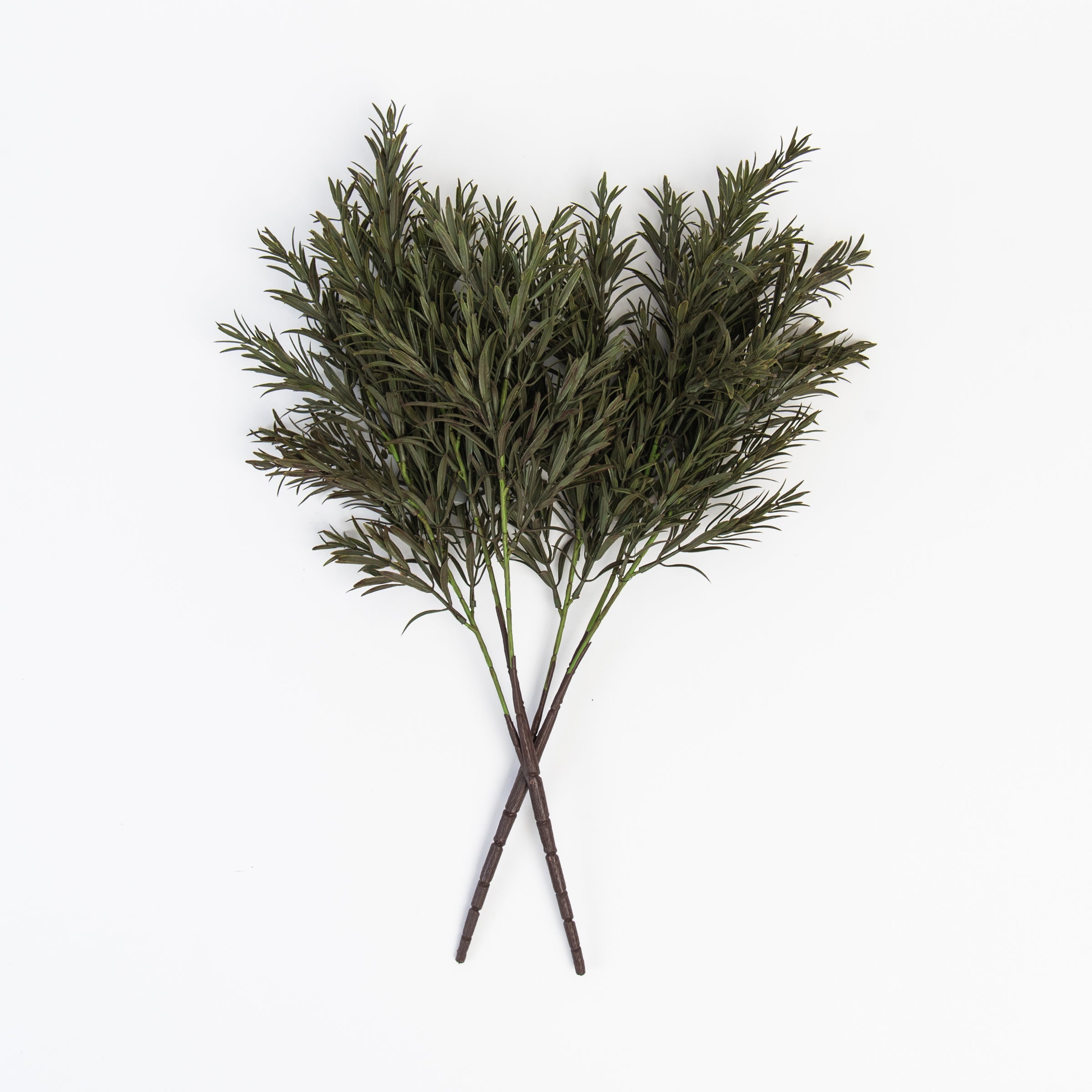 Honey Bracelet Spray in Dark Green on a white background at Addison West