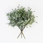 Ivy Spray in Green on a white background at Addison West