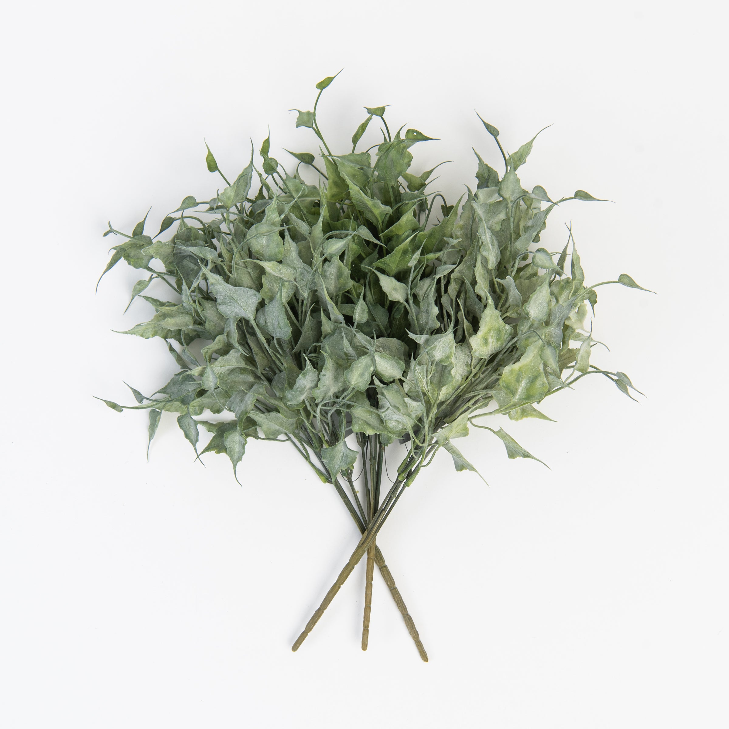 Ivy Spray in Green on a white background at Addison West