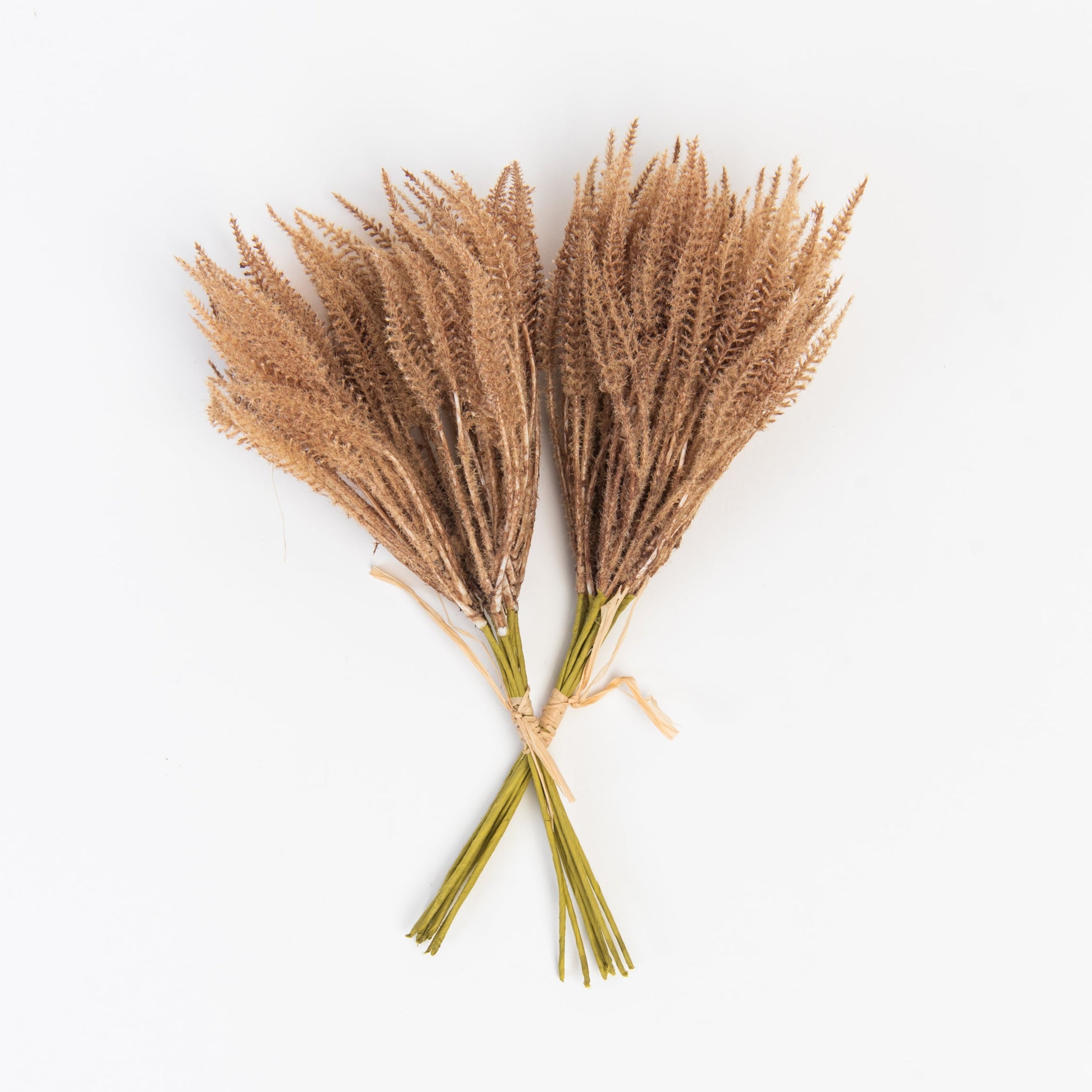 Mini Pampas Grass Bundle in Light Brown on a white background at Addison West