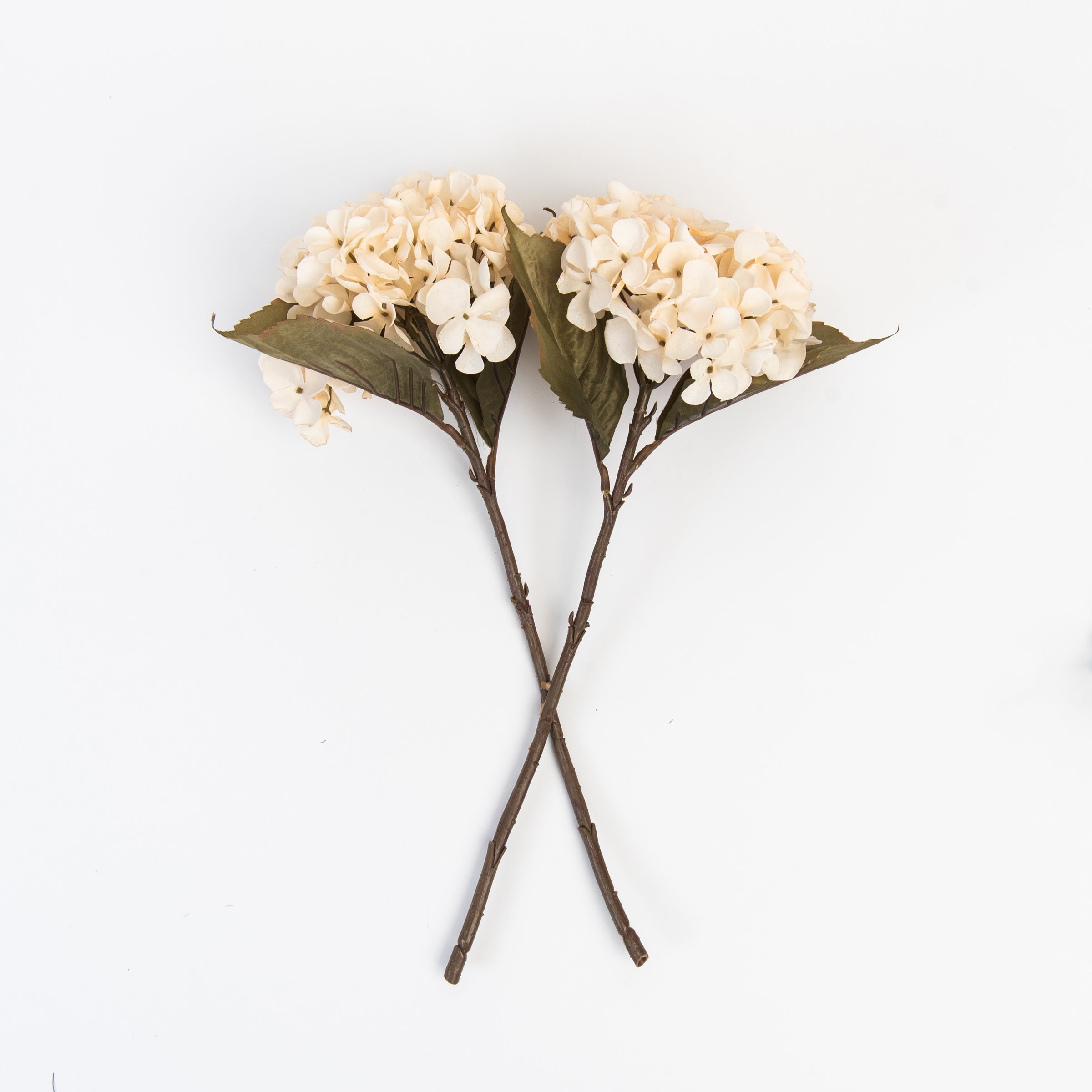 Hydrangea Floral Stem in Cream on a white background at Addison West