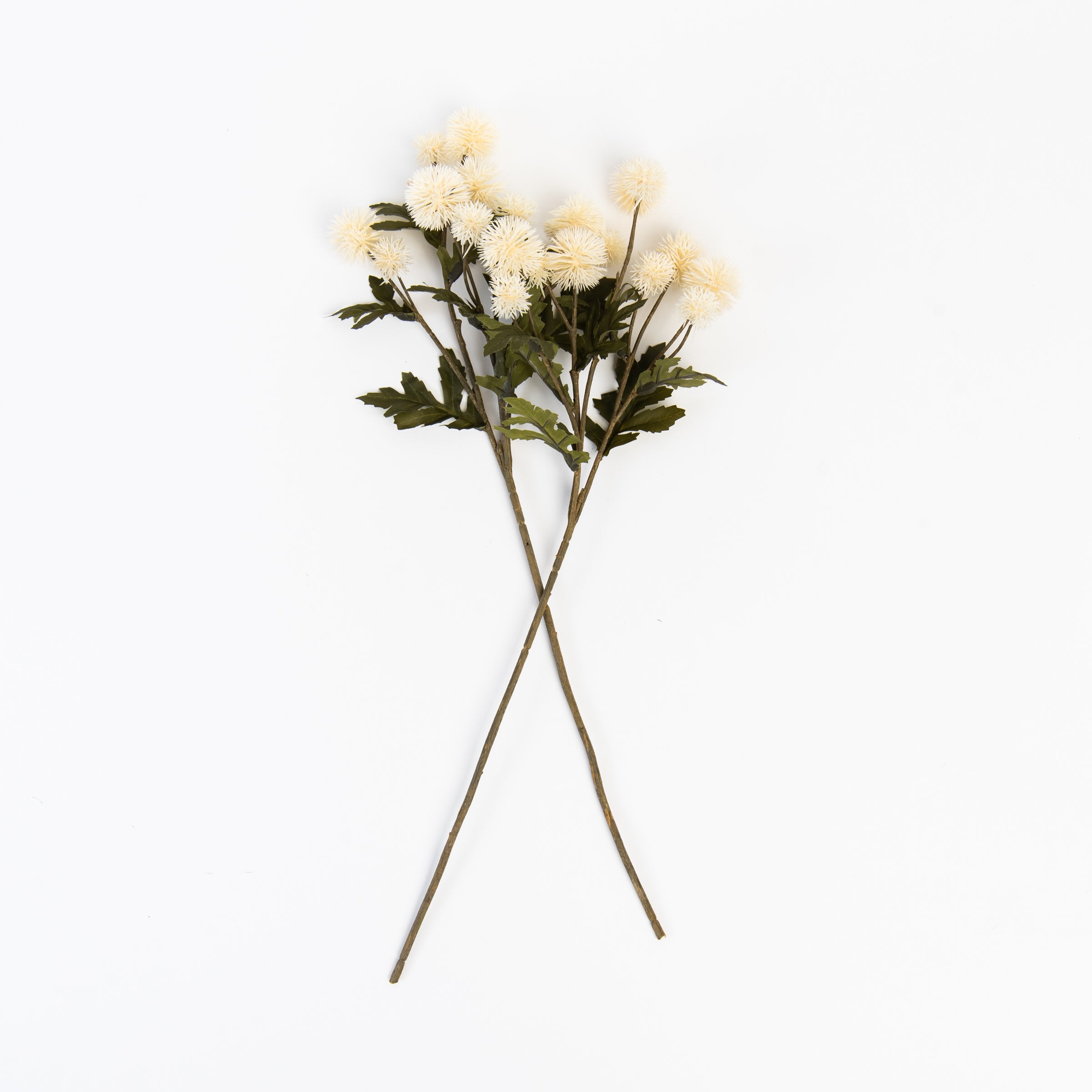 Pom Pom Floral Stem on a white background at Addison West