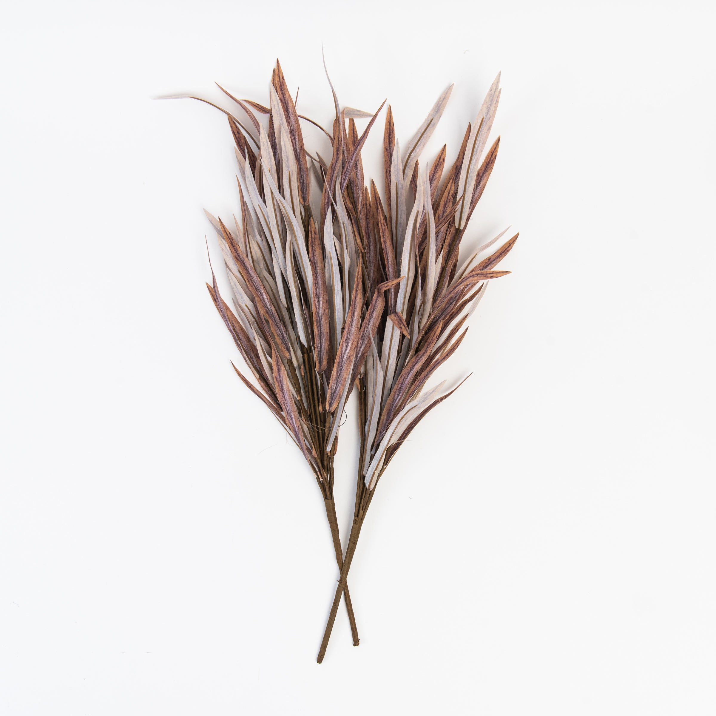 Willow Bush Sprig on a white background at Addison West