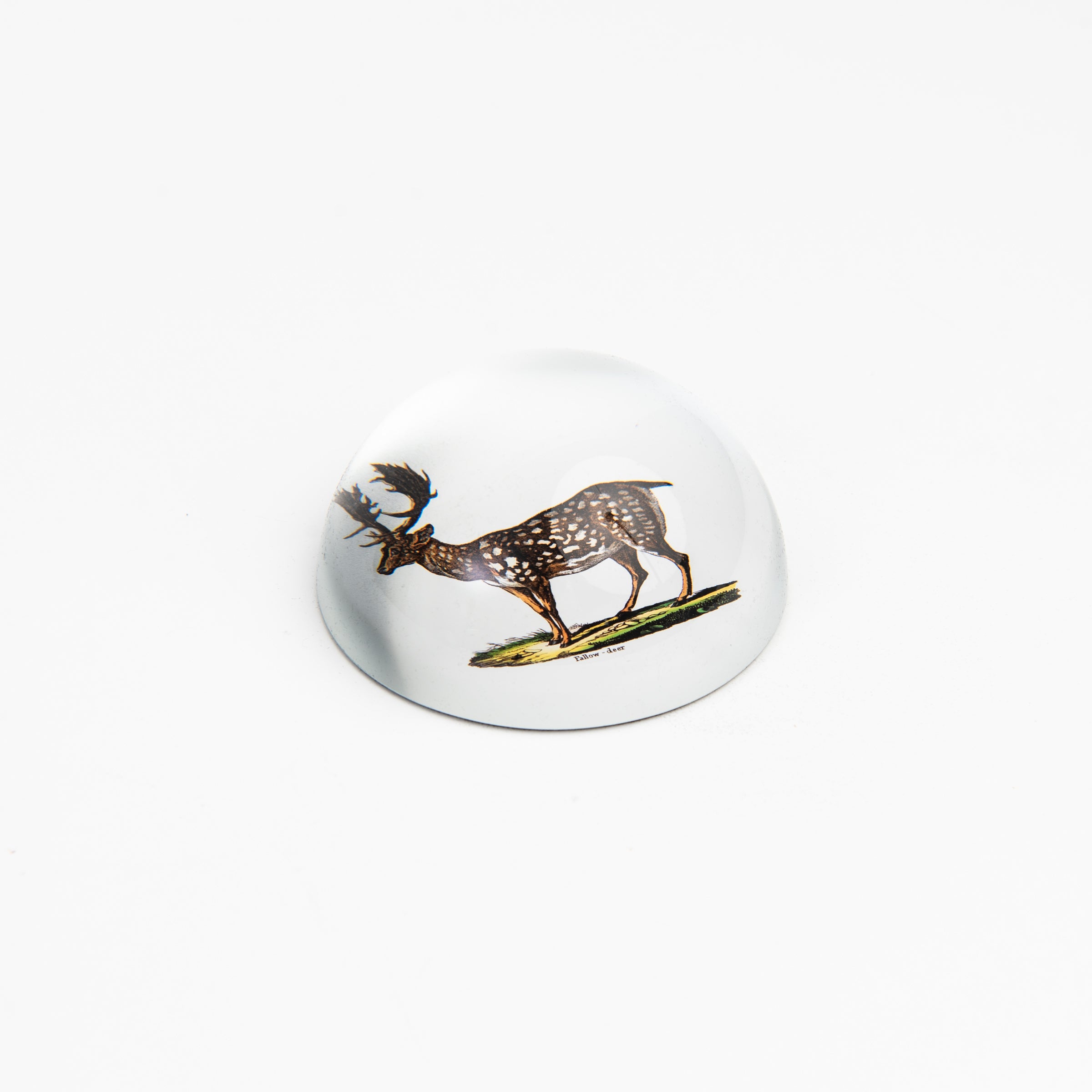 Stag Paperweight on a white background at Addison West