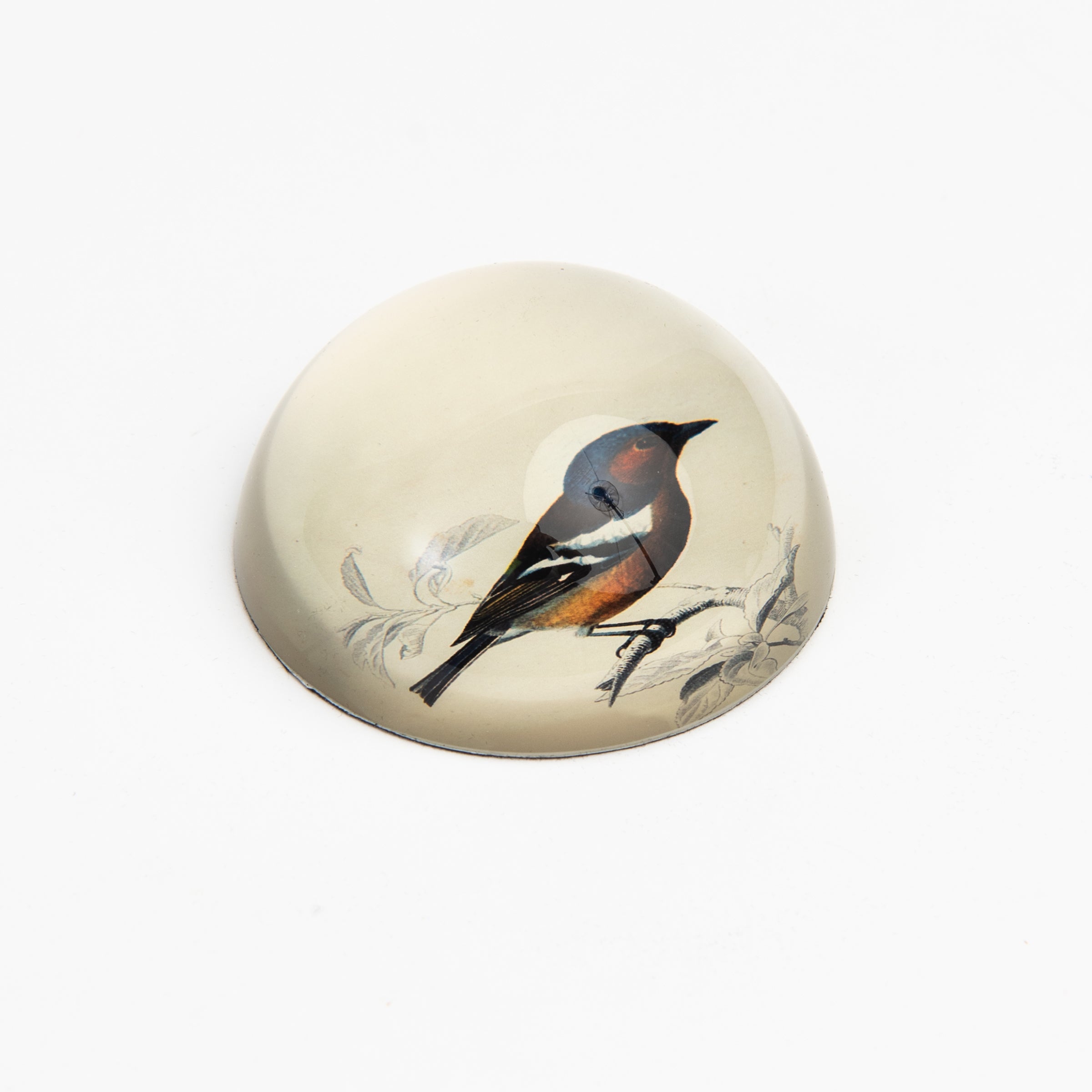 Birdie Paperweight on a white background at Addison West