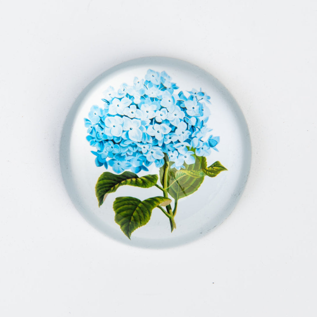Blue Hydrangea Paperweight on a white background at Addison West
