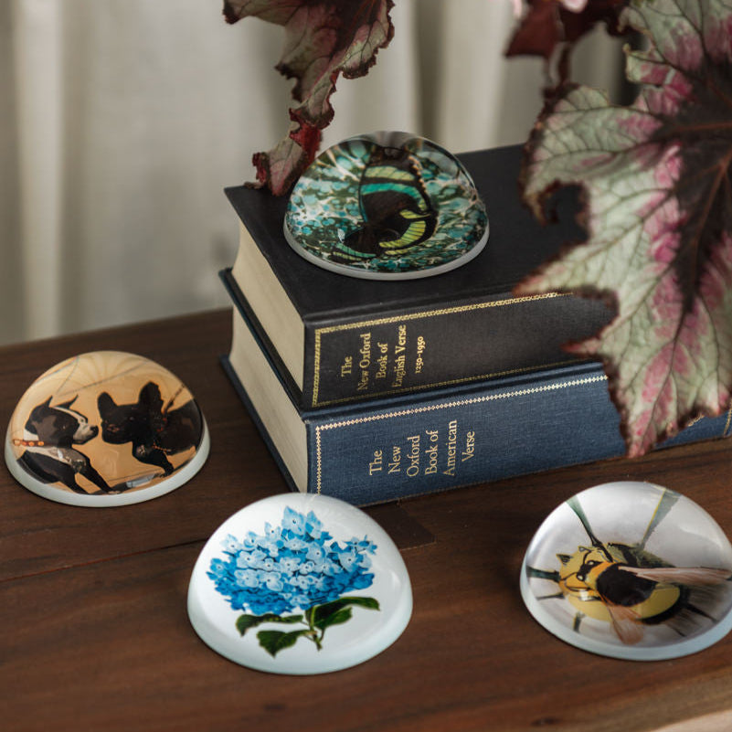 Paperweights on a dark wood table with books at Addison West