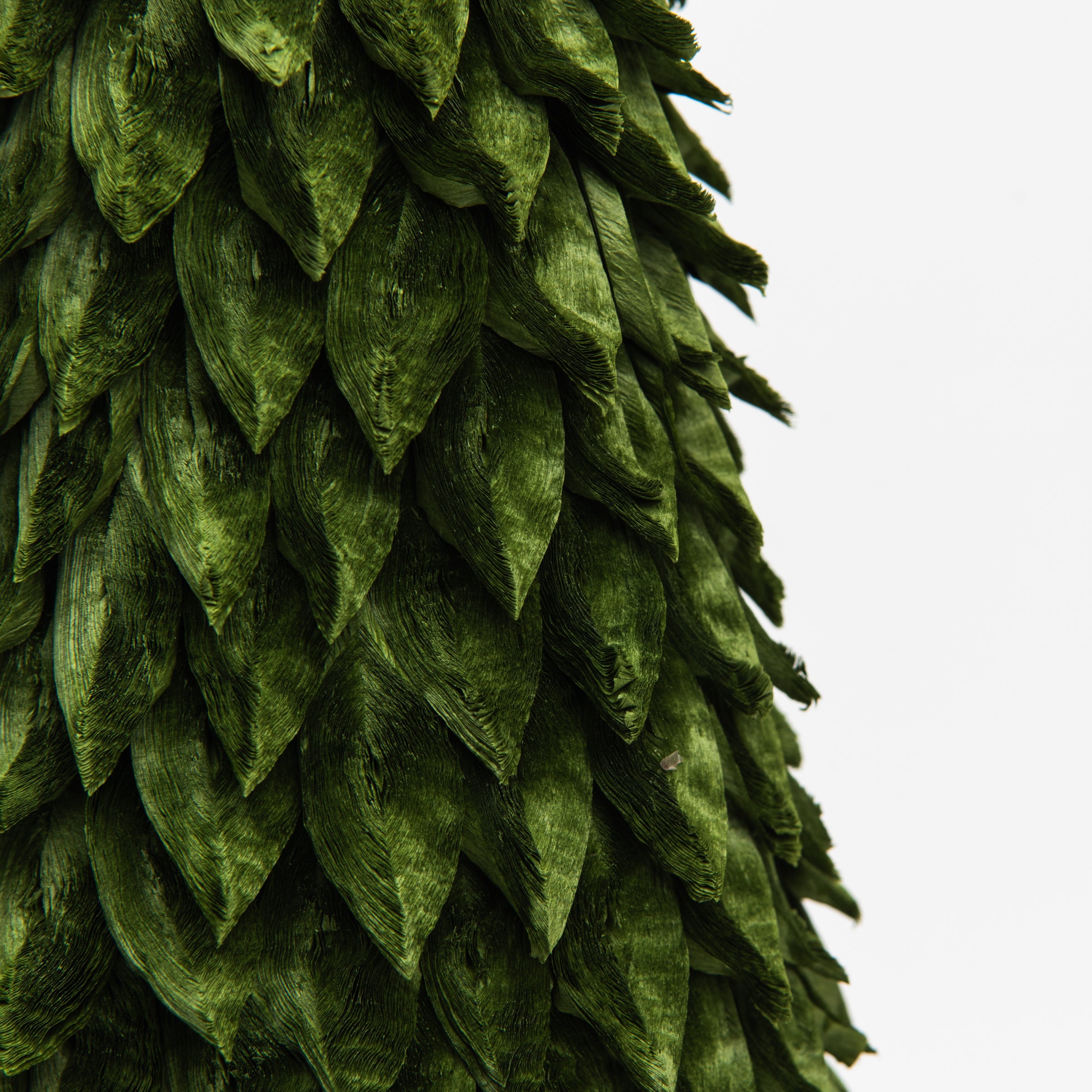 Dark Green Petal Leaf Cone Trees on a white background at Addison West