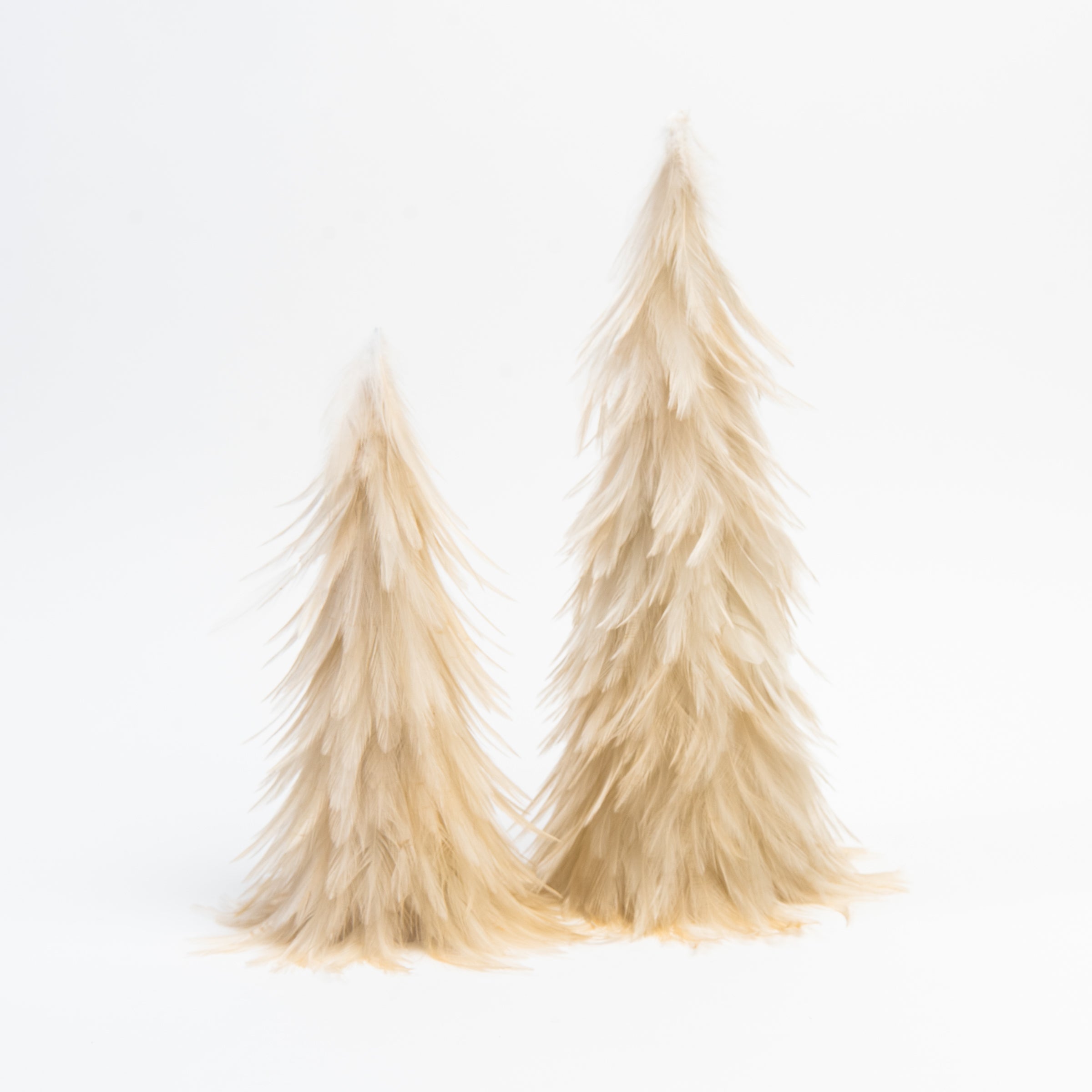 Feather Tree in Cream, Small and large on a white background at Addison West